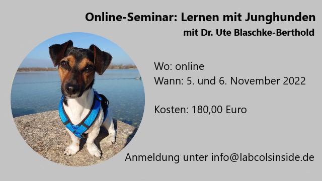 Lernen mit Junghunden- mit Dr. Ute Blaschke Berthold -Ausgebucht
