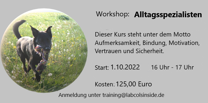 Workshop: Alltagsspezialisten