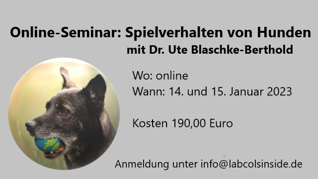 Spielverhalten von Hunden- mit Dr. Ute Blaschke Berthold AUSGEBUCHT