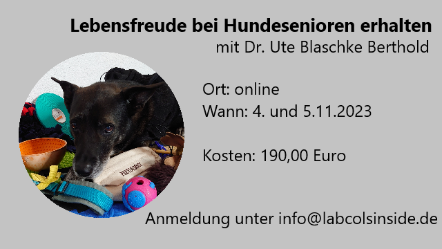 Lebensfreude bei Hundesenioren erhalten- mit Dr. Ute Blaschke Berthold- AUSGEBUCHT