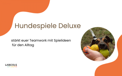 Hundespiele deluxe 5.12. um 17 Uhr