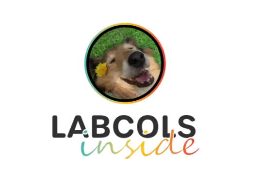 Logo von LABCOLS inside